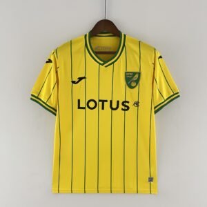 2022-2023 Norwich City Home Stadium Version