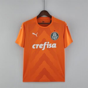 2022-2023 Palmeiras Goalkeeper Stadium Version