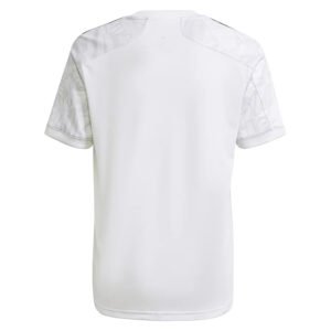 thumb-1_1080x_666a13fa-582d-4b4a-b9de-75618b8cbd19