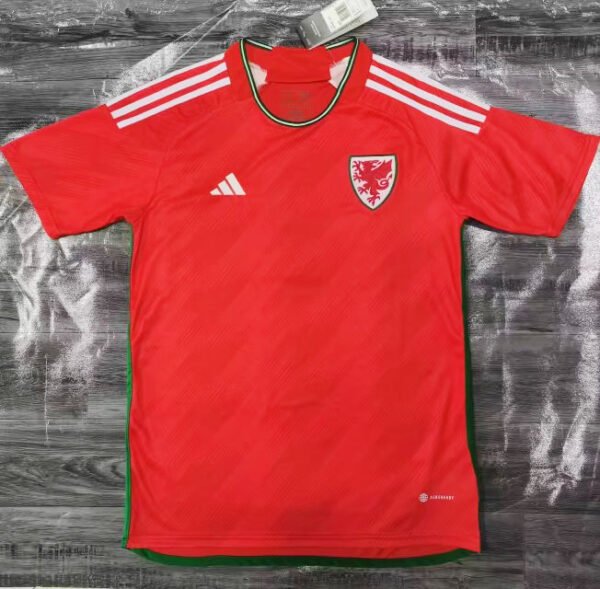 2022 Wales  World Cup Home Stadium Version