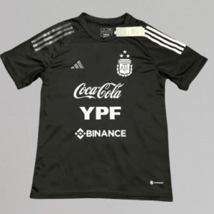 2022 Argentina Training Stadium Version