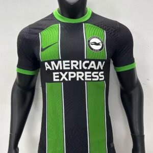 2023-2024  BRIGHTON AWAY PLAYER VERSION