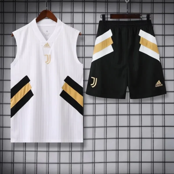 2023/2024 Juventus SLEEVELESS TRAINING KIT