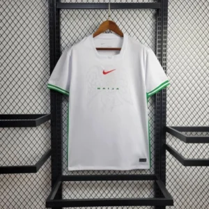 2024-2025 Nigeria Away Stadium Version