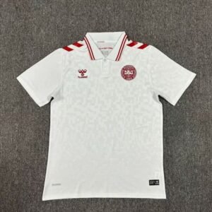 2024 Denmark Away Euro 2024 Stadium Version