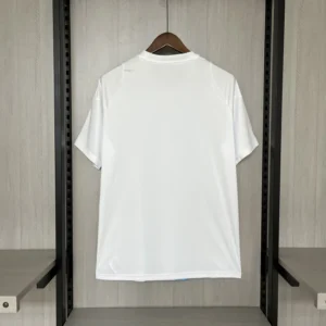 a5f606d292c0cb460bb3b16d3b55ebcf