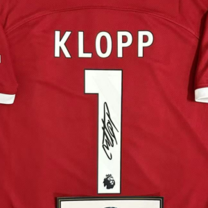 img_13865634209_1710026239