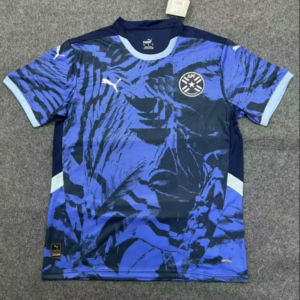 2024-2025 Paraguay Away Stadium Version