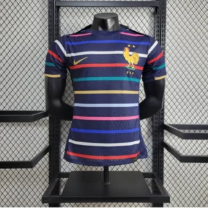 2024-2025 France Training Player Version