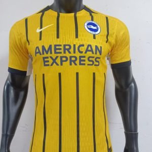 2024-2025  BRIGHTON AWAY PLAYER VERSION