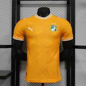 2024-2025 IVORY COAST SPECIAL PLAYER VERSION
