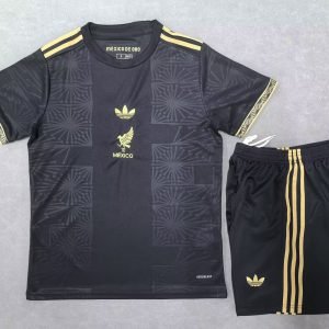 2025-2026 Mexico Special Uniform