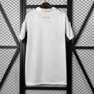 25-26-Panathinaikos-Away-S-3XL-1-600x600