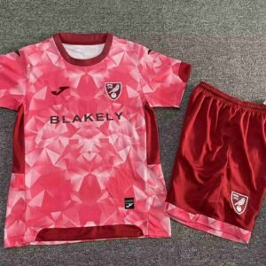 2025-2026 Norwich City Third Uniform