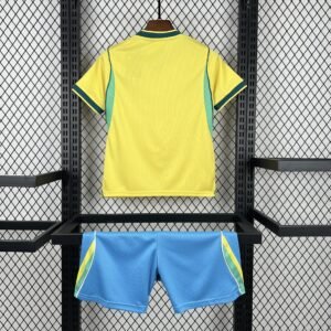 brazil cup