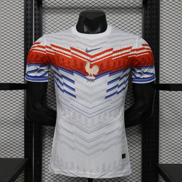 france 1