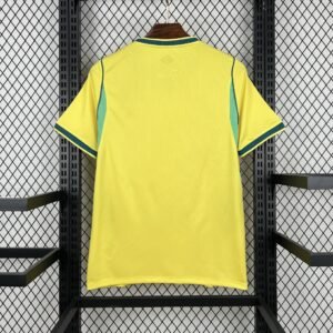 brazil1