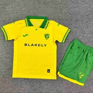 2025-2026 Norwich City Home Uniform