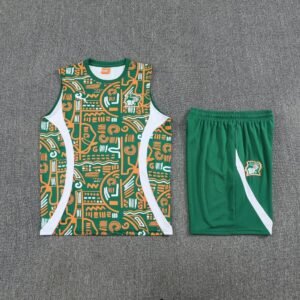 2025-2026 Ivory Coast Sleeveless Training Kit