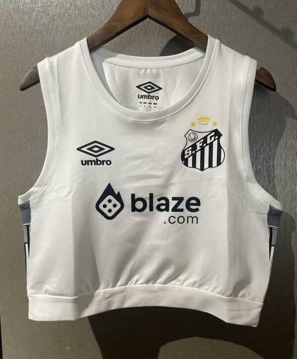 santos 1