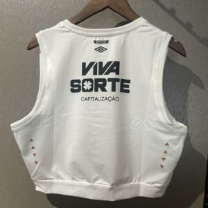 santos 2