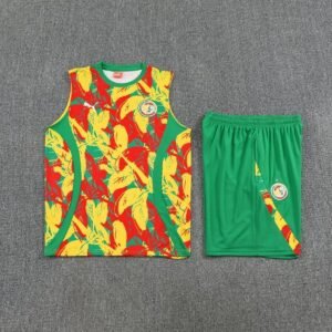 2025-2026 Senegal Sleeveless Training Kit