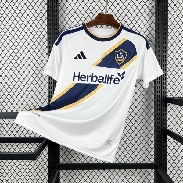 LA Galaxy2