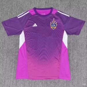 2025-2026 Los Angeles Galaxy goalkeeper Stadium Version