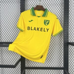 2025-2026 Norwich City Home Stadium Version