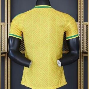 South Africa2