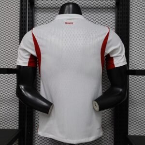 Turkey away1