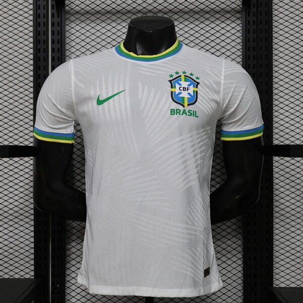 brazil special1