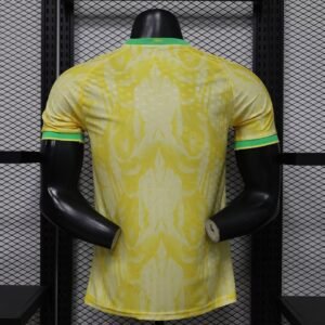brazil10