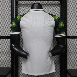 brazil2