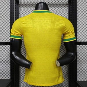 brazil6