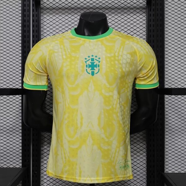 brazil9