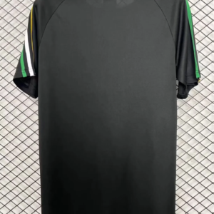 celtic3