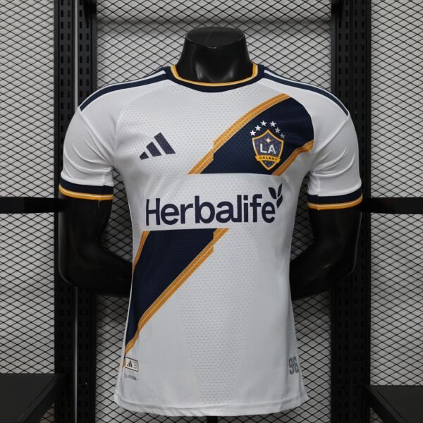 la galaxy2