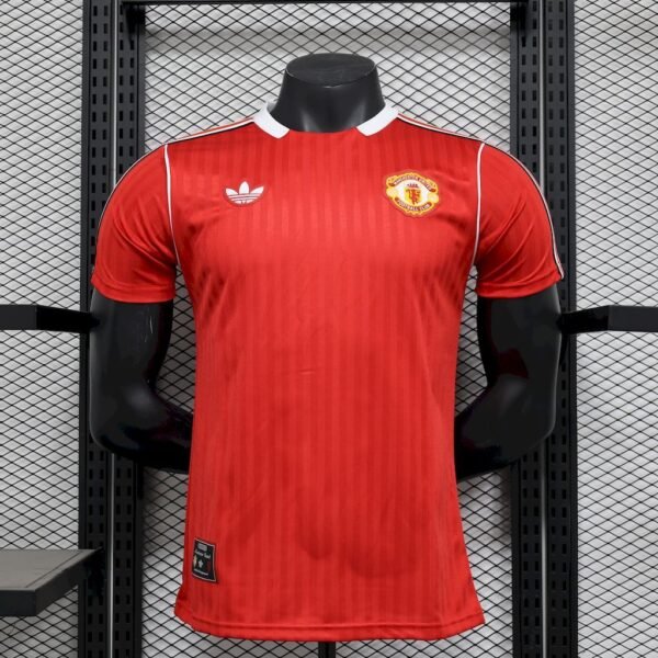 manchester2