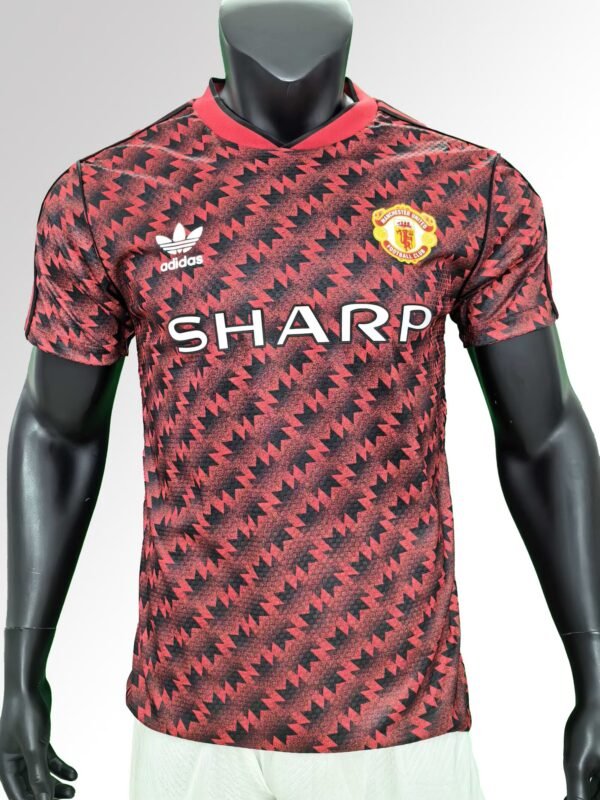 manchester6