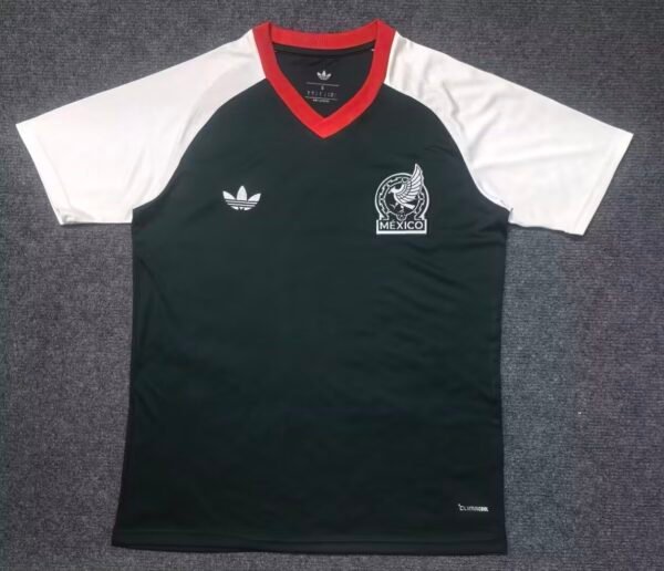 mexico training2