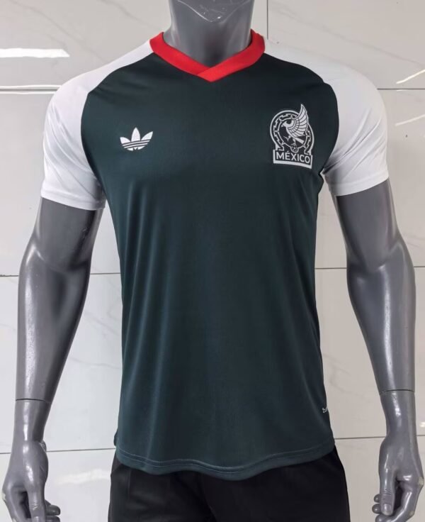mexico training3