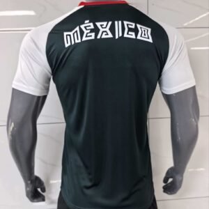 mexico training4