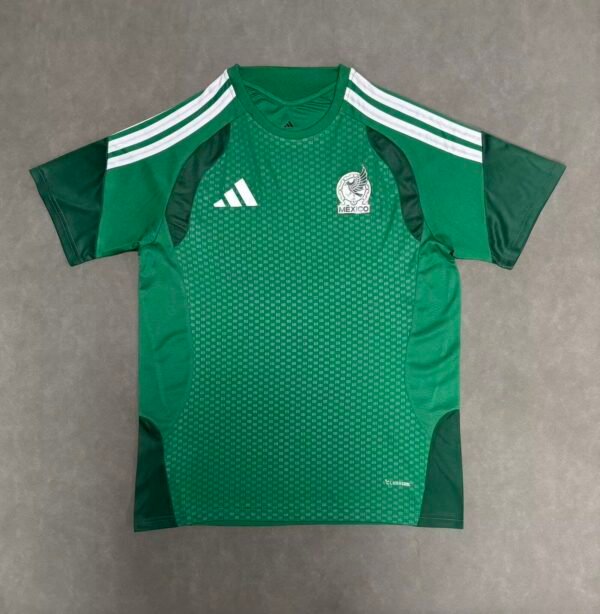 mexico training6