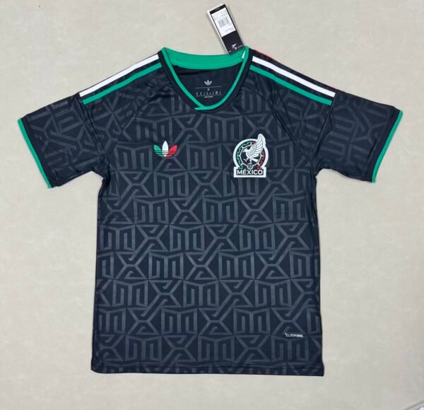mexico2