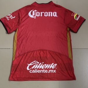 toluca home1