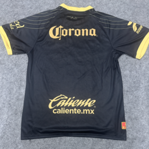 toluca4