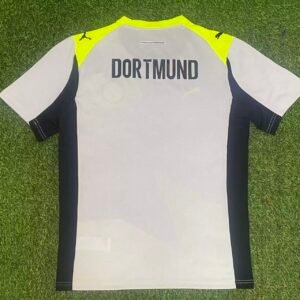 Dortmund2
