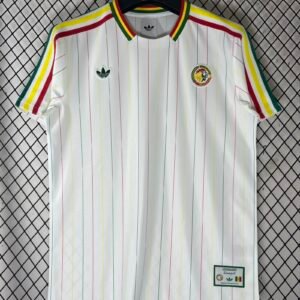 2026-2027 Ghana Special Stadium Version