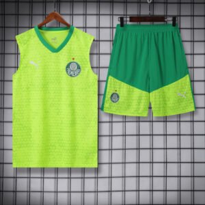 2024-2025 Palmeiras Sleeveless Training Kit